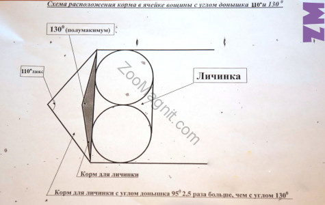 Инвентарь для наващивания и сборки рамок