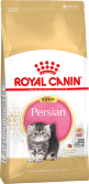 Kitten Persian &#039;Персидские котята 4 - 12 мес.&#039; - Kitten Persian 'Персидские котята 4 - 12 мес.'