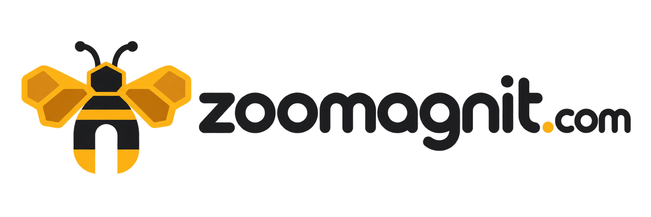 zoomagnit.com